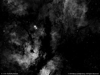 IC 1318 - Butterfly Nebula