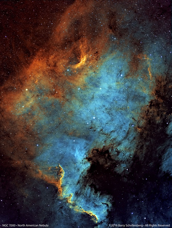 NGC 7000 • North American Nebula