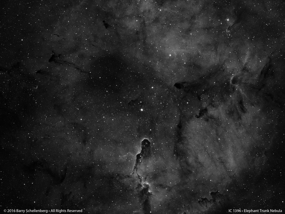 IC 1396 • Elephant Trunk Nebula