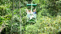 Gondola over the Rainforest