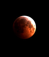 Lunar Eclipse - December 2010
