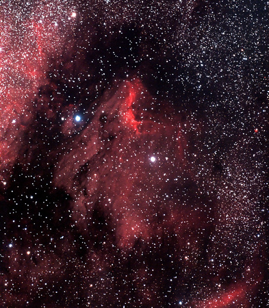 IC5070 - The Pelican Nebula