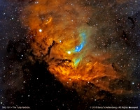 SH2 101 • The Tulip Nebula