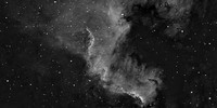 NGC 7000 Ha 3nm Crop