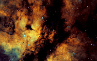 IC 1318 - Cropped version