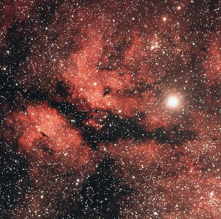 IC 1318 - The Butterfly Nebula