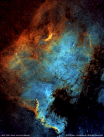 NGC 7000 • North American Nebula