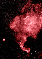 NGC 7000 - The North American Nebula