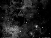 IC 410 • Tadpole Nebula