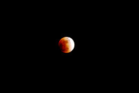 Lunar Eclipse, February 2008
