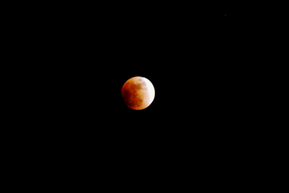 Lunar Eclipse, February 2008