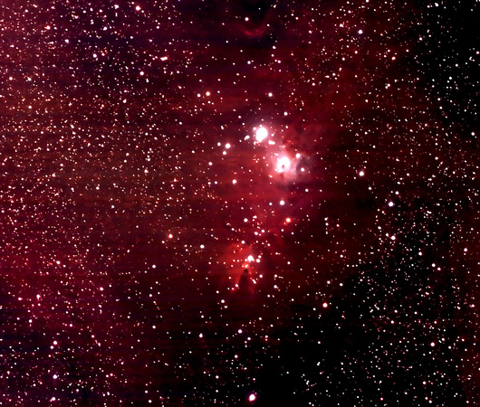 NGC 2264 - The Christmas Tree Cluster