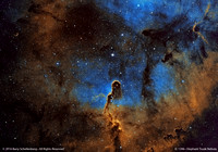IC 1396 • Elephant Trunk Nebula
